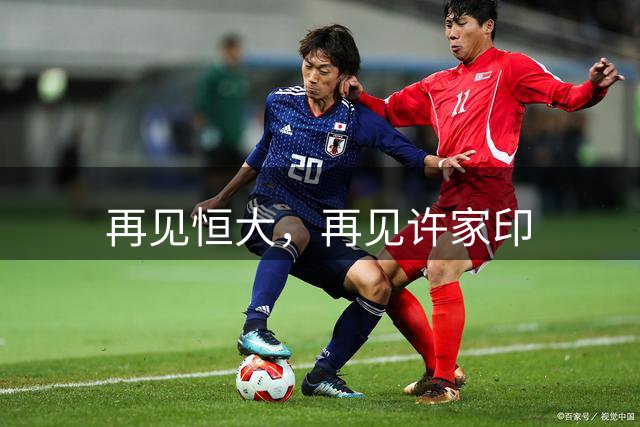 再见恒大，再见许家印
