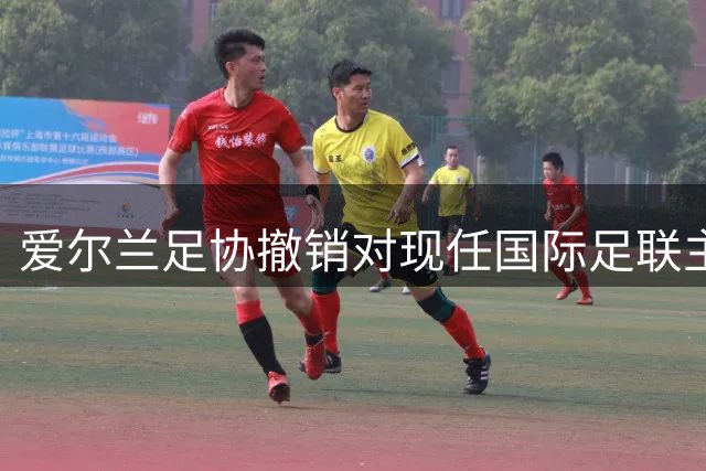 爱尔兰足协撤销对现任国际足联主席竞选连任的支持