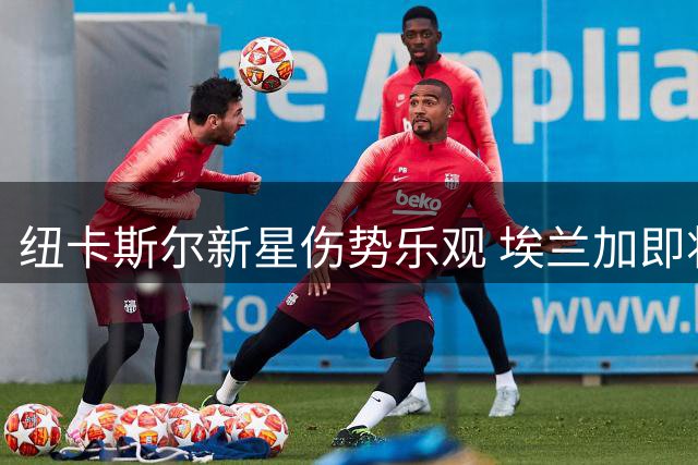 纽卡斯尔新星伤势乐观 埃兰加即将重返训练