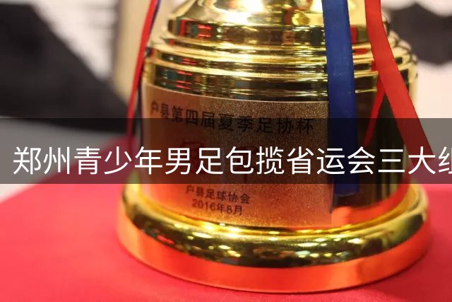郑州青少年男足包揽省运会三大组别桂冠 梯队建设显成效